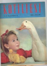 Kotiliesi 1958 nr 6 /Kieku ja Kaiku, Kastor Olympia, Tokalon, Viri, Raisa, Kas-Kas, Vuokko, Uusi kuluttajan hintaindeksi, vanha huonekalu viehättää, uutta