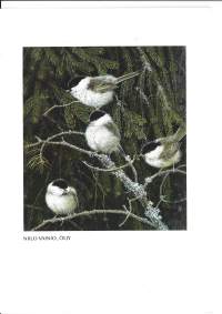 Näyttelykutsu-  Niilo Yli-Vainio / Galleri Kirna 1994 - taittokortti kulkenut
