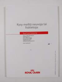 Kissanpentuopas