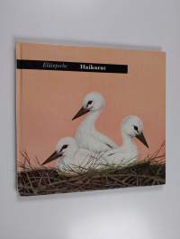 Eläinperhe : haikarat