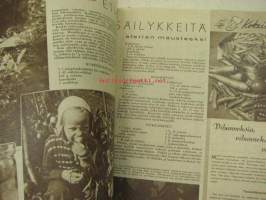Kotiliesi 1950 nr 16  Elokuu 1950 - Vihti -Kallela kanala artikkeli kuvineen, Verraton sauna v 1950, Etikkasäilykkeitä, Ami-Cola -mainos, Uusi asuntotuotanto...