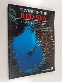 Diving in the Red Sea - A Practical Guide