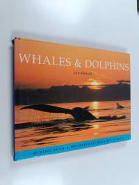 Whales &amp; dolphins : Whales and dolphins