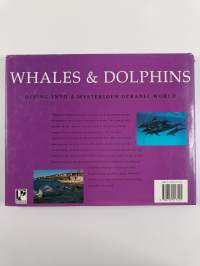 Whales &amp; dolphins : Whales and dolphins