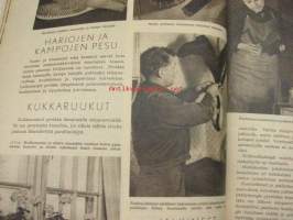 Kotilieden neuvokki nr 3 Hohtava koti