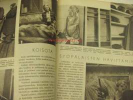 Kotilieden neuvokki nr 3 Hohtava koti