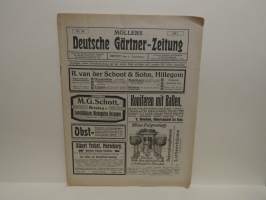 Möllers Deutsche Gärtner-Zeitung Nr. 36 / 1913