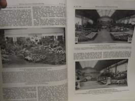 Möllers Deutsche Gärtner-Zeitung Nr. 36 / 1913