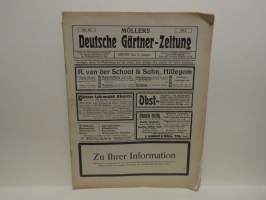 Möllers Deutsche Gärtner-Zeitung Nr. 35 / 1913