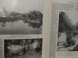 Möllers Deutsche Gärtner-Zeitung Nr. 33 / 1913