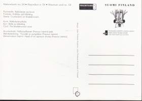 Maksimikortti N:o 54 : Rakkolevän äyriäisiä/Rakkolevävyöhyke v. 2001.