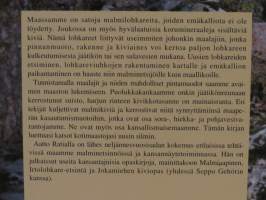 Lohkareesta emäkallioon - jäätiköstä maaperäksi
