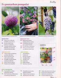 Viherpiha 9/2014