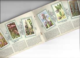Wild Flowers Wills-savukekortteja 1937   49 keräilykorttia kansiossa  -  keräilykortti, keräilykuva