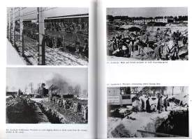 Auschwitz  -Nazi death camp