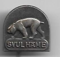 SVUL Häme  -neulamerkki rintamerkki