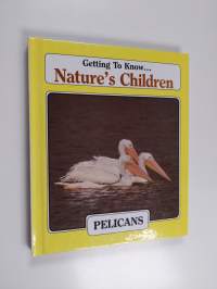 Getting to Know... Nature&#039;s Children - Pelicans/Snakes