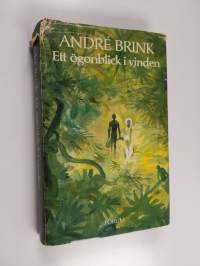 Ett ögonblick i vinden