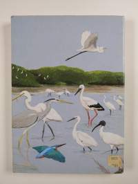 The Birds of Hong Kong and South China