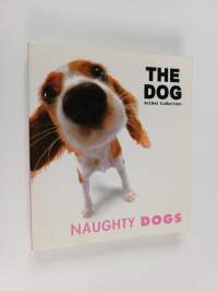 The dog - Naughty Dogs