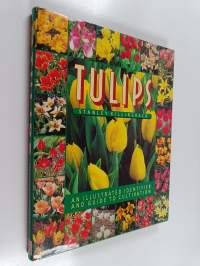 Tulips : an illustrated identifier and guide to cultivation