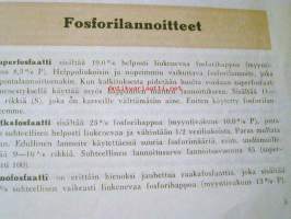 Lannoiteaapinen