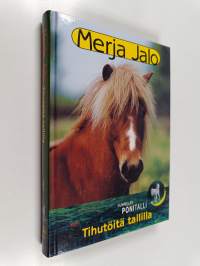 Tihutöitä tallilla