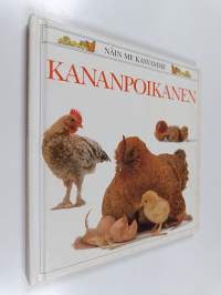 Kananpoikanen