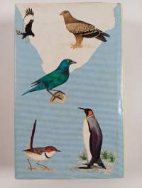 Newman&#039;s Birds of Southern Africa