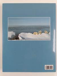 The polar bear