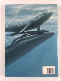 Whales and dolphins