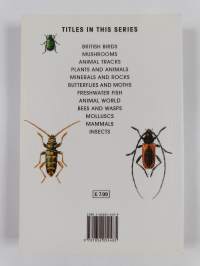 A Field Guide In Colour To Beetles