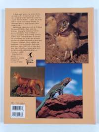 Colorado Wildlife
