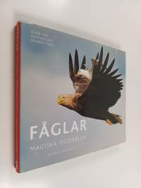 Fåglar magiska ögonblick