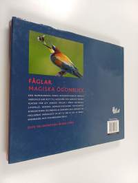 Fåglar magiska ögonblick