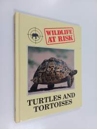 Turtles and tortoises