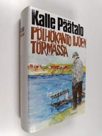 Pölhökanto Iijoen törmässä