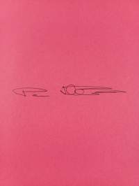 Perhe, pahin ja paras (signeerattu)