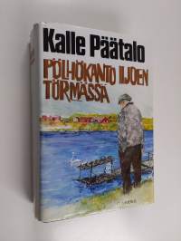 Pölhökanto Iijoen törmässä