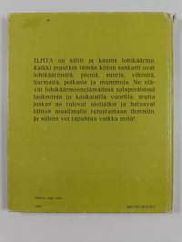 Elpita ja muut lohikäärmeet