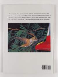Hummingbirds : A Portrait of the Animal World