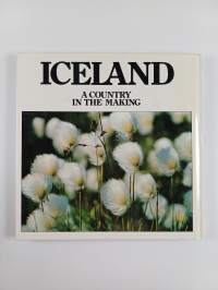 Iceland : the surprising island of the Atlantic