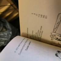 Aku Ankan taskukirja 12 : Tervetuloa Ankkalinnaan 1972