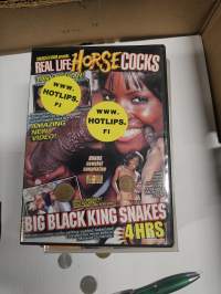 Real life Horse cocks big Black King snakes