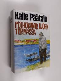 Pölhökanto Iijoen törmässä
