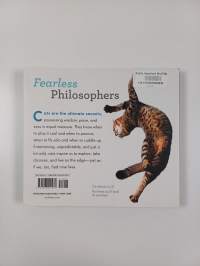 Really Important Stuff My Cat Has Taught Me