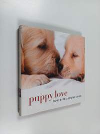Puppy love : how cute puppies meet