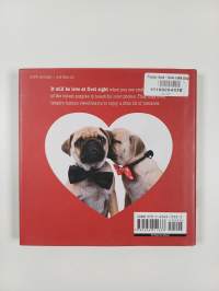 Puppy love : how cute puppies meet