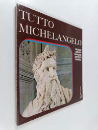 Tutto michelangelo