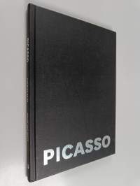 Picasso : figur og bilde = figure and image : Bergen Kunstmuseum, 2.2. - 8.6.08